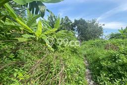 Jarang Ada! Tanah di Tegalrejo Punya Luas 3215m2 - Jarang Ada! Tanah di Tegalrejo Punya Luas 3215m2 -