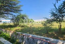 Tanah Dijual Lokasi Tuban Tuban - Tanah Dijual Lokasi Tuban Tuban -