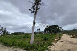 Untuk Dijual Tanah di Badung, Luas 60000m2 SHM Untuk Dijual Tanah di Badung, Luas 60000m2 SHM