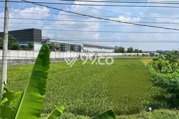 Tanah Kavling untuk Dijual di Jombang Jombang 70527m2 Tanah Kavling untuk Dijual di Jombang Jombang 70527m2