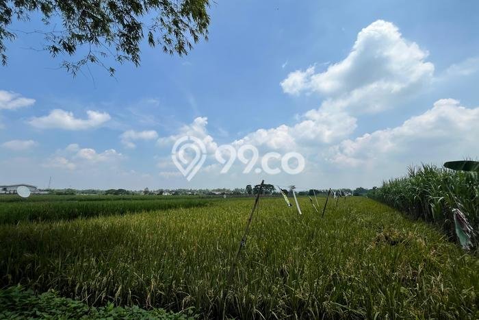 Tanah Kavling untuk Dijual di Jombang Jombang 70527m2 Tanah Kavling untuk Dijual di Jombang Jombang 70527m2