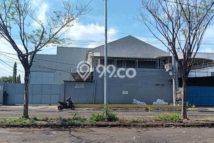 Gudang Dijual Lokasi Stratagis di Benowo Surabaya Cocok untuk Investasi Gudang Dijual Lokasi Stratagis di Benowo Surabaya Cocok untuk Investasi