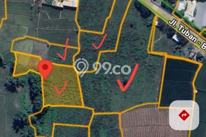 Tanah Dijual Lokasi Widang Tuban SHM Tanah Dijual Lokasi Widang Tuban SHM