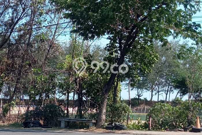 Tanah Komersial Dijual di Tuban Tuban 10350m2 Tanah Komersial Dijual di Tuban Tuban 10350m2