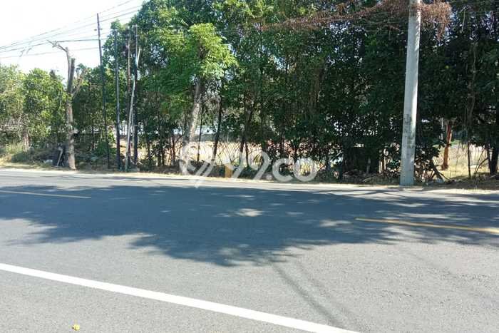 Tanah Komersial Dijual di Tuban Tuban 10350m2 Tanah Komersial Dijual di Tuban Tuban 10350m2