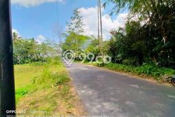Tanah Kosong Dijual di Sleman dengan Area 5034m2 Tanah Kosong Dijual di Sleman dengan Area 5034m2