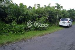 Kavling Tanah Dijual di Turi, Sleman, Luas 1300m2 Area Strategis Kavling Tanah Dijual di Turi, Sleman, Luas 1300m2 Area Strategis