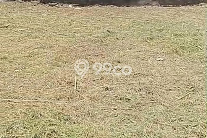 Untuk Dijual Tanah di Bandung, Luas 165m2 SHM Untuk Dijual Tanah di Bandung, Luas 165m2 SHM