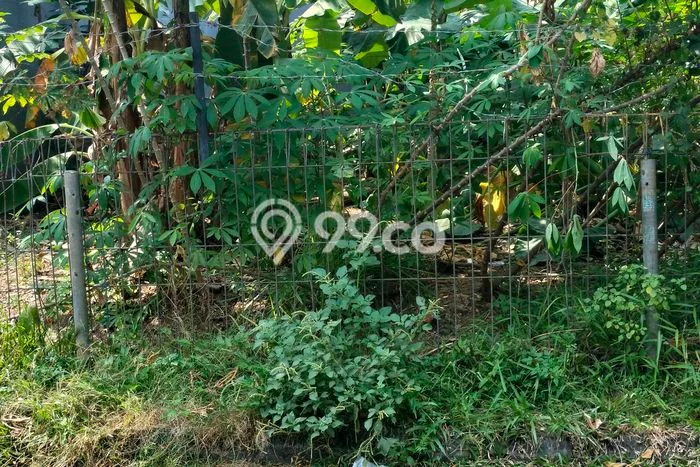 Untuk Dijual Tanah 161m2 di BSD Nusaloka, Tangerang Untuk Dijual Tanah 161m2 di BSD Nusaloka, Tangerang