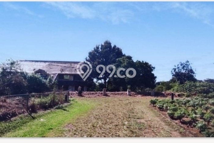 Kavling Tanah Dijual di Bogor Barat, Bogor, Luas 6202m2 Area Strategis Kavling Tanah Dijual di Bogor Barat, Bogor, Luas 6202m2 Area Strategis