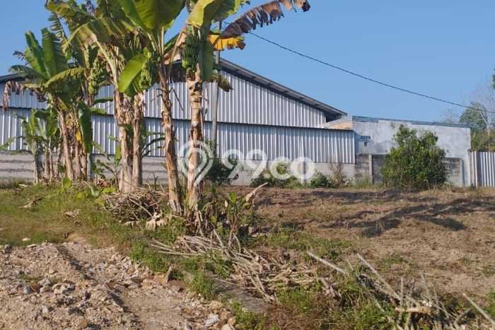 Gudang Favorit Dijual di Jati Agung Lampung Selatan Kawasan Pusat Bisnis Gudang Favorit Dijual di Jati Agung Lampung Selatan Kawasan Pusat Bisnis