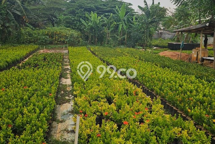 Tanah Komersial Dijual di Karang Tengah Tangerang 8000m2 Tanah Komersial Dijual di Karang Tengah Tangerang 8000m2