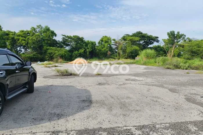 Disewakan Tanah Lokasi Strategis di Cerme Gresik 20000m2 Disewakan Tanah Lokasi Strategis di Cerme Gresik 20000m2