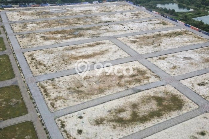 Tanah Dijual Lokasi Manyar, Gresik Luas 2000m2 Legalitas Aman Tanah Dijual Lokasi Manyar, Gresik Luas 2000m2 Legalitas Aman