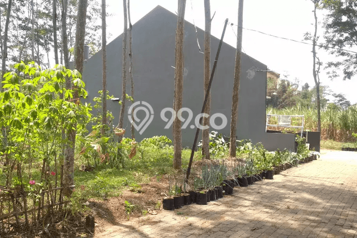 Tanah di Pakis, Malang Luas 72m2 Dijual Segera Tanah di Pakis, Malang Luas 72m2 Dijual Segera