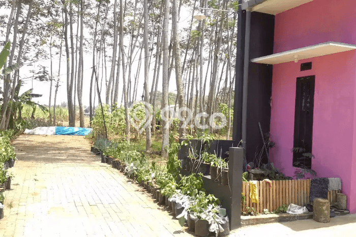 Tanah di Pakis, Malang Luas 72m2 Dijual Segera Tanah di Pakis, Malang Luas 72m2 Dijual Segera