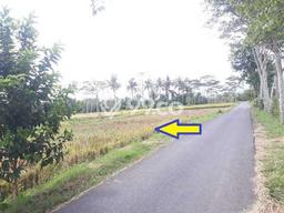 Jarang Ada! Tanah di Pakisaji Punya Luas 11026m2 SHM Jarang Ada! Tanah di Pakisaji Punya Luas 11026m2 SHM