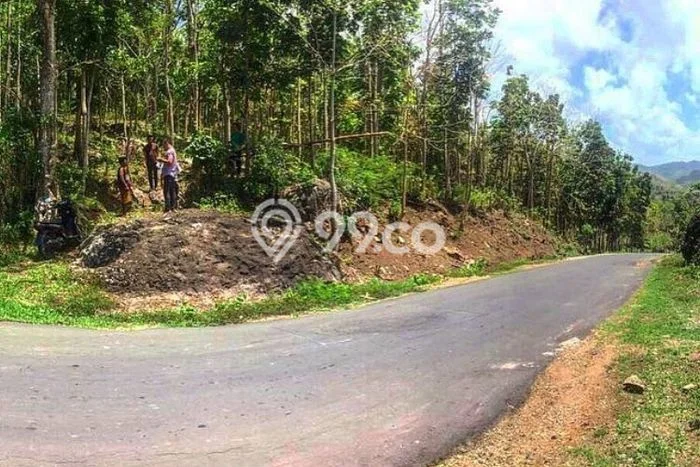 Tanah Dijual Area Strategis di Sekotong Tengah Lombok Barat 370000m2 Tanah Dijual Area Strategis di Sekotong Tengah Lombok Barat 370000m2