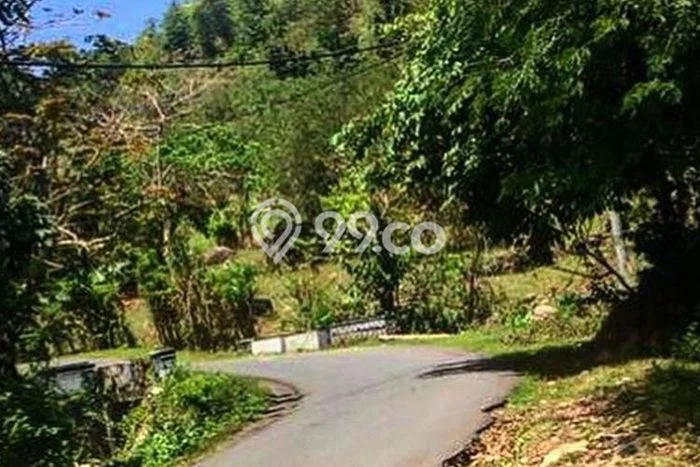 Tanah Dijual Area Strategis di Sekotong Tengah Lombok Barat 370000m2 Tanah Dijual Area Strategis di Sekotong Tengah Lombok Barat 370000m2