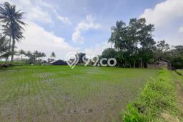 Lahan untuk Dijual di Jabung Malang Luas 4202m2 Lahan untuk Dijual di Jabung Malang Luas 4202m2