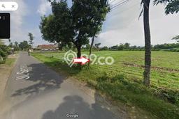 Kavling Tanah Dijual di Kandat Kediri Spesifikasi 5417m2 Kavling Tanah Dijual di Kandat Kediri Spesifikasi 5417m2