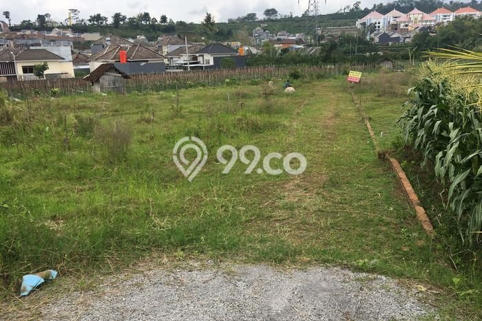 Kavling Tanah Dijual di Dau Malang Spesifikasi 171m2 Kavling Tanah Dijual di Dau Malang Spesifikasi 171m2