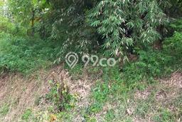 Tanah Dijual Area Strategis di Setiabudi Bandung 510m2 Tanah Dijual Area Strategis di Setiabudi Bandung 510m2