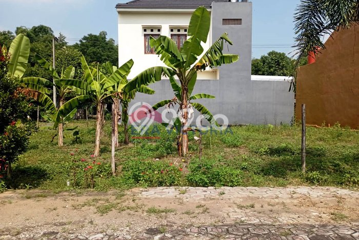 Lahan Kosong Dijual di Kediri dengan Area 270m2 Lahan Kosong Dijual di Kediri dengan Area 270m2