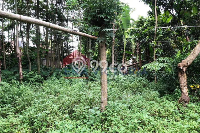 Kavling Tanah Dijual di Gampengrejo Kediri Spesifikasi 410m2 Kavling Tanah Dijual di Gampengrejo Kediri Spesifikasi 410m2