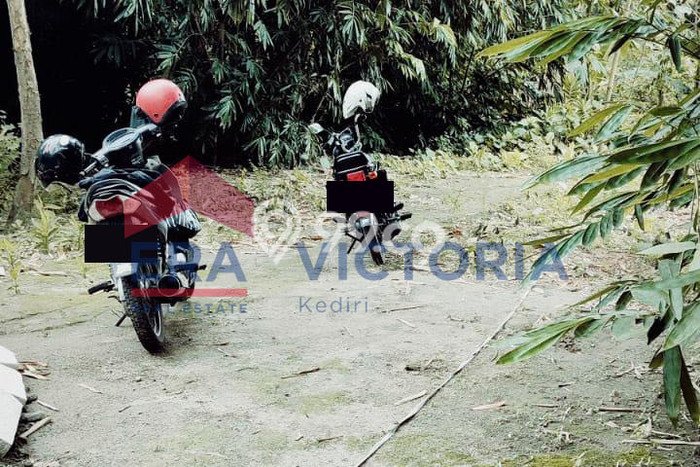 Tanah Dijual Lokasi Ngasem, Kediri Luas 284m2 Legalitas Aman Tanah Dijual Lokasi Ngasem, Kediri Luas 284m2 Legalitas Aman