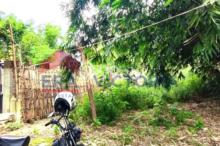 Tanah Dijual Lokasi Ngasem, Kediri Luas 284m2 Legalitas Aman Tanah Dijual Lokasi Ngasem, Kediri Luas 284m2 Legalitas Aman