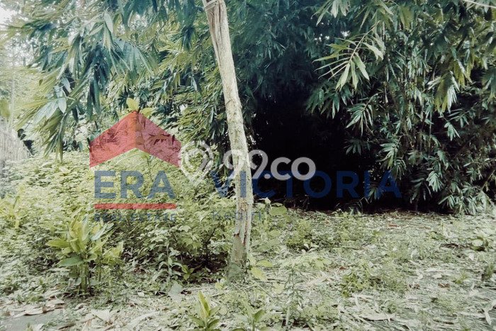 Tanah Dijual Lokasi Ngasem, Kediri Luas 284m2 Legalitas Aman Tanah Dijual Lokasi Ngasem, Kediri Luas 284m2 Legalitas Aman