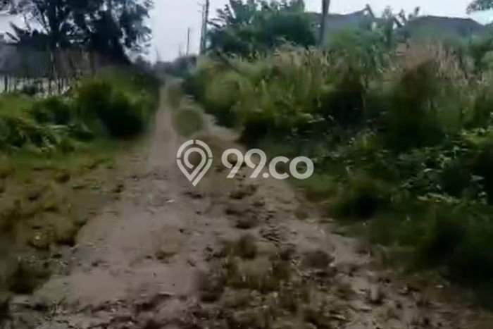 Lahan untuk Dijual Lokasi Serang, Serang Luas 2147m2 SHM Lahan untuk Dijual Lokasi Serang, Serang Luas 2147m2 SHM