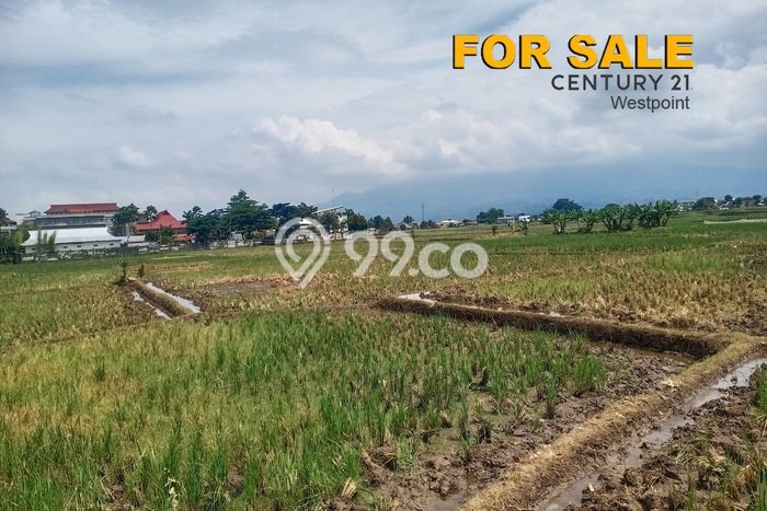 Tanah di Soreang, Bandung Luas 6800m2 Dijual Segera Tanah di Soreang, Bandung Luas 6800m2 Dijual Segera
