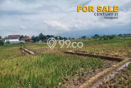 Tanah di Soreang, Bandung Luas 6800m2 Dijual Segera Tanah di Soreang, Bandung Luas 6800m2 Dijual Segera