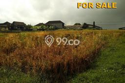 Tanah di Abiansemal, Badung Luas 1000m2 Dijual Segera Tanah di Abiansemal, Badung Luas 1000m2 Dijual Segera