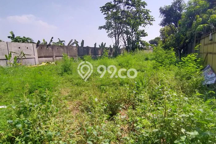 Tanah Disewakan di Kemang, Bogor, Luas 1237m2 - Tanah Disewakan di Kemang, Bogor, Luas 1237m2 -