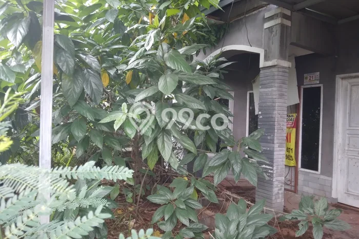Rumah Minimalis 2 KT di Bojong Kulur Bogor Rumah Minimalis 2 KT di Bojong Kulur Bogor