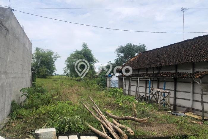 Tanah di Sukodadi, Lamongan Luas 137m2 Dijual Segera Tanah di Sukodadi, Lamongan Luas 137m2 Dijual Segera
