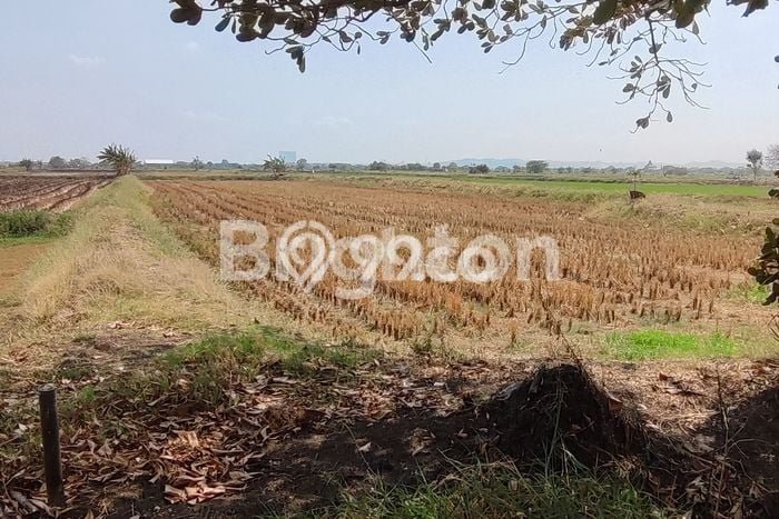 Tanah Kavling di Cerme Dijual dengan Luas 5500m2 Tanah Kavling di Cerme Dijual dengan Luas 5500m2