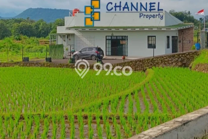 Jual Rumah Strategis Bagus Punya 3 KT di Cijambe Subang SHM Jual Rumah Strategis Bagus Punya 3 KT di Cijambe Subang SHM