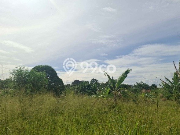 Tanah di Ciputat, Tangerang Selatan Luas 2804m2 Dijual Segera Tanah di Ciputat, Tangerang Selatan Luas 2804m2 Dijual Segera