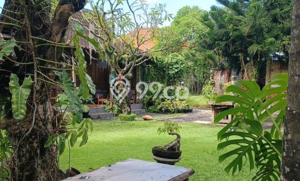 Area Ramai! Komersial Dijual di Denpasar Timur untuk Bisnis Luas Bangunan 2010m2 Area Ramai! Komersial Dijual di Denpasar Timur untuk Bisnis Luas Bangunan 2010m2