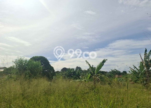 Tanah di Ciputat, Tangerang Selatan Luas 2804m2 Dijual Segera Tanah di Ciputat, Tangerang Selatan Luas 2804m2 Dijual Segera