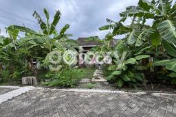 Dijual Rumah Siap Huni di Rembang Pasuruan Harga Rp 110 Juta LT 84m2 Dijual Rumah Siap Huni di Rembang Pasuruan Harga Rp 110 Juta LT 84m2