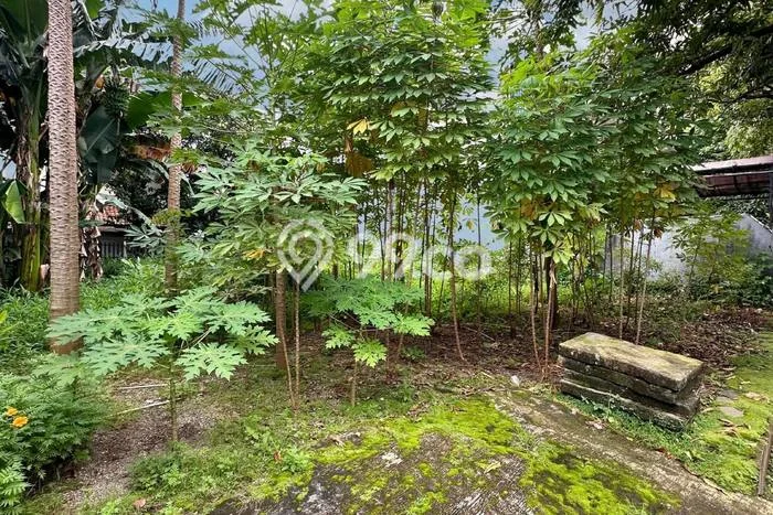Tanah Kosong Dijual di Jakarta Selatan dengan Area 262m2 Tanah Kosong Dijual di Jakarta Selatan dengan Area 262m2