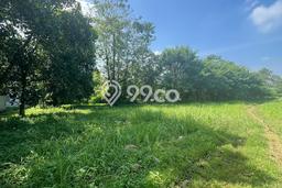 Area Ramai! Gudang Dijual di Cileungsi untuk Bisnis Luas Bangunan 6100m2 Area Ramai! Gudang Dijual di Cileungsi untuk Bisnis Luas Bangunan 6100m2