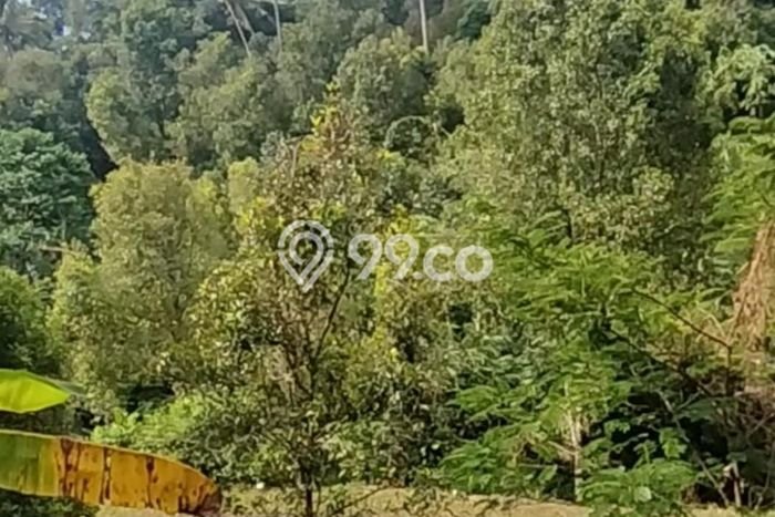 Tanah Kavling Dijual di Sekumpul, Buleleng dengan Luas Tanah 1900m2 Tanah Kavling Dijual di Sekumpul, Buleleng dengan Luas Tanah 1900m2
