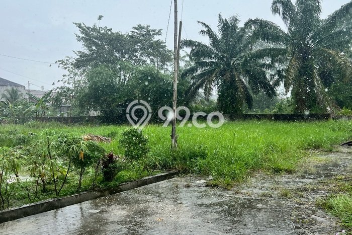 Lahan Investasi Lokasi Pekanbaru Kota Pekanbaru SHM Lahan Investasi Lokasi Pekanbaru Kota Pekanbaru SHM