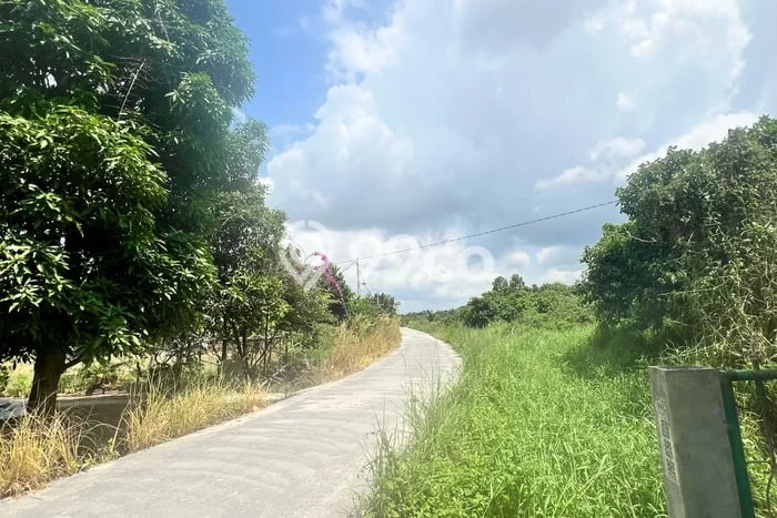 Tanah Dijual di Pekanbaru Seluas 1784m2 Strategis Tanah Dijual di Pekanbaru Seluas 1784m2 Strategis